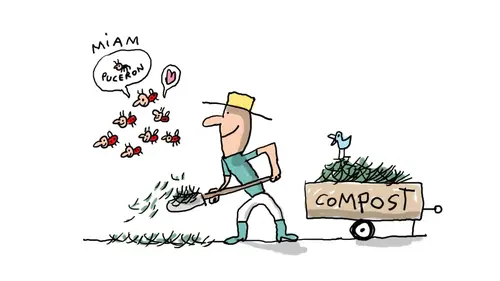 Un jour, une question replay