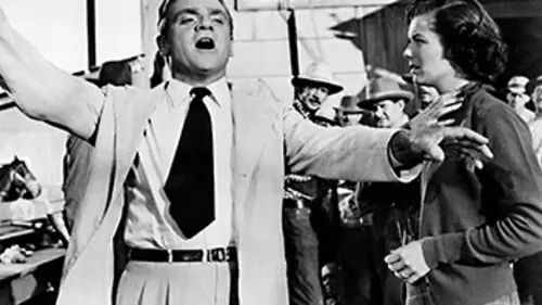 Casting Un lion est dans la rue