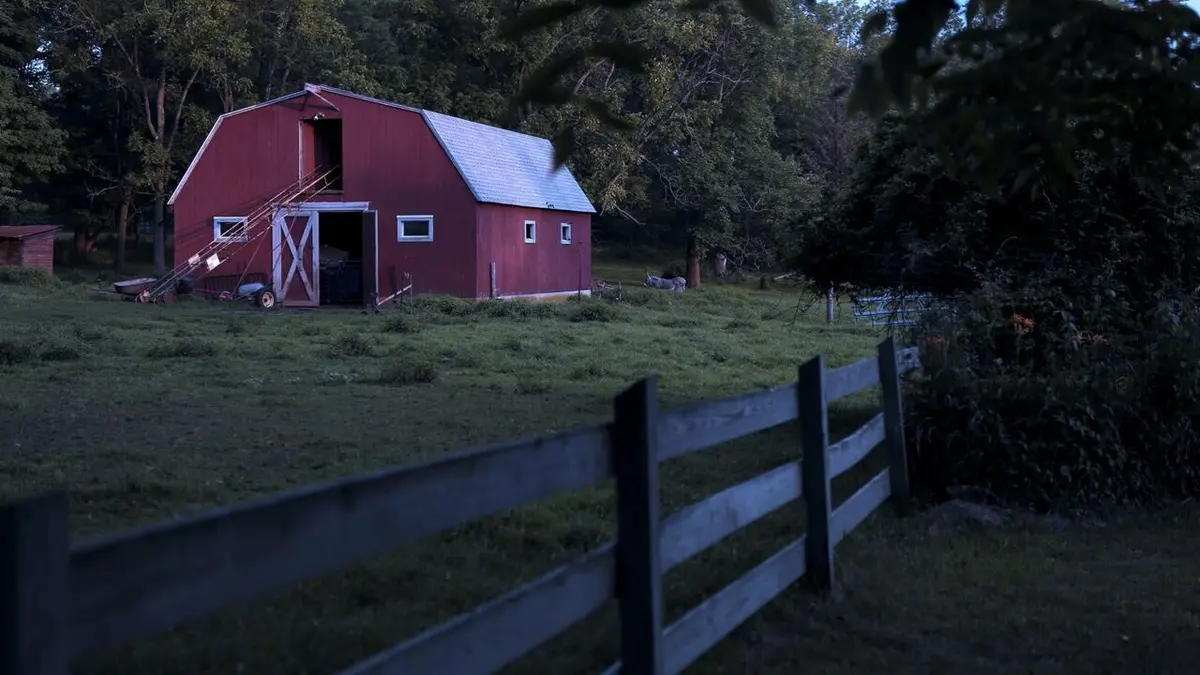 Un meurtrier sous mon toit Faux prophète en streaming