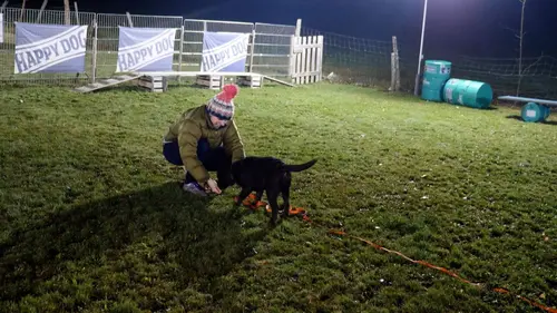 Un monde à part Nos étonnants voisins suisses