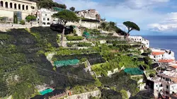Visuel de Un monde d'agrumes