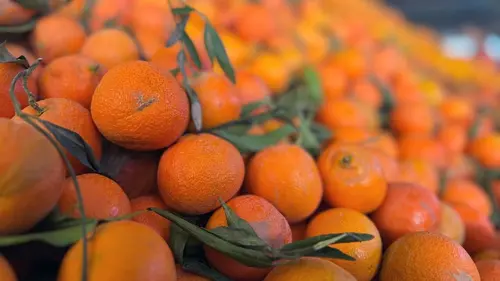 Un monde d'agrumes Les mandarines colorées du Maroc