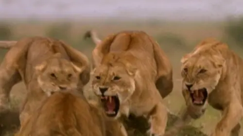 Un monde mortel S03E04 Girl Power