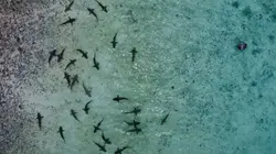 Un monde nouveau Régénérer