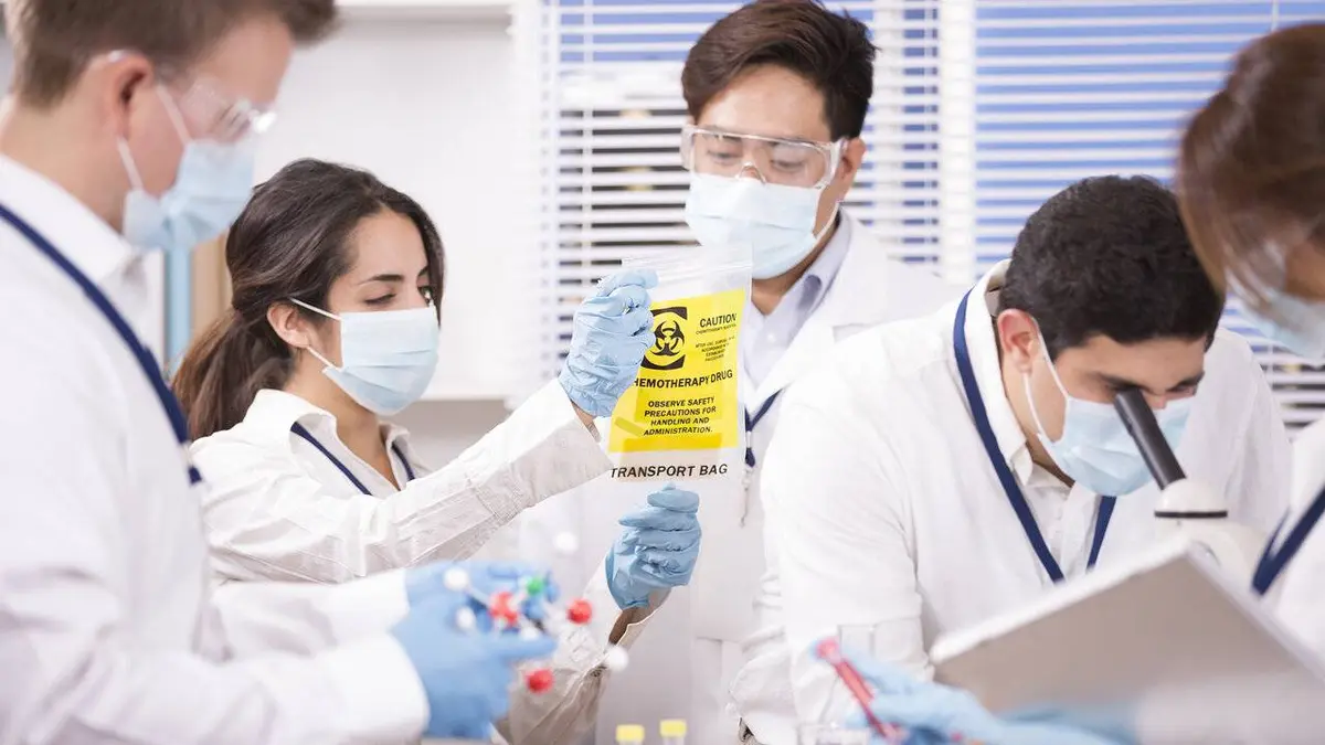 Un monde sans forêts