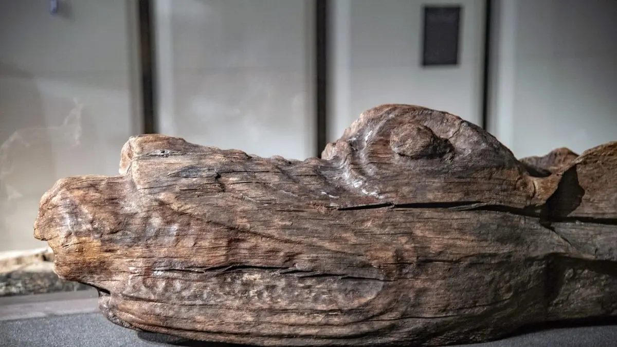 Un navire de guerre médiéval : Le "Gribshunden"