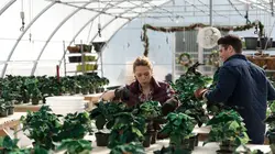 Un Noël rouge comme l'amour