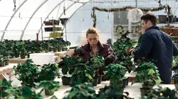 Un Noël rouge comme l'amour