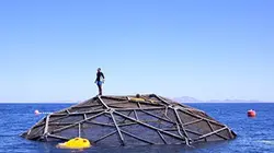 Visuel de Un nouveau monde sauvage