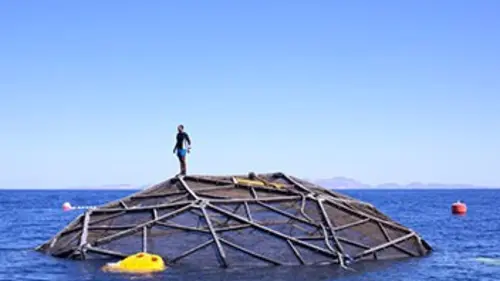 Un nouveau monde sauvage E04 Les océans