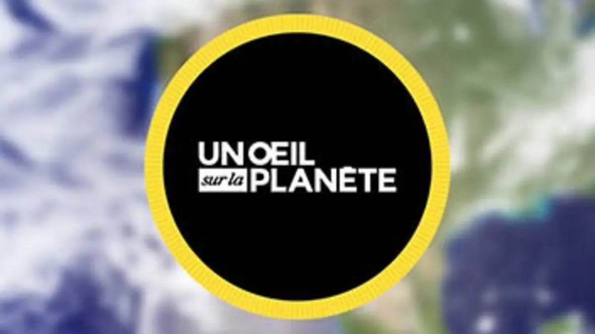 Un oeil sur la planète Cannabis : quelle bonne politique ?