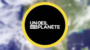 Cannabis : quelle bonne politique ?