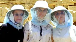 Visuel de Un pique-nique chez Osiris