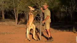 Un refuge en Australie