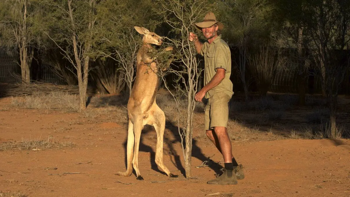 Un refuge en Australie