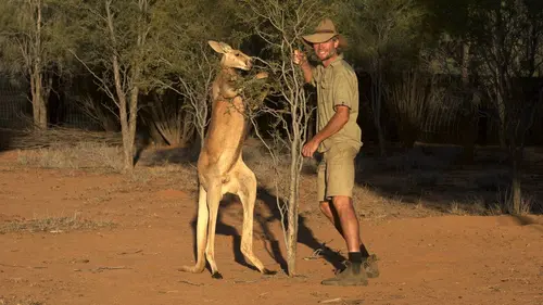 Un refuge en Australie