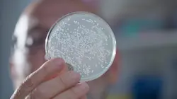 Un remède de chameau : La révolution des nanocorps