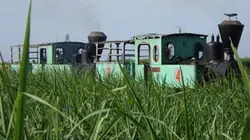 Visuel de Un rêve et un train