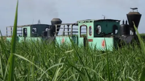 Un rêve et un train Australie