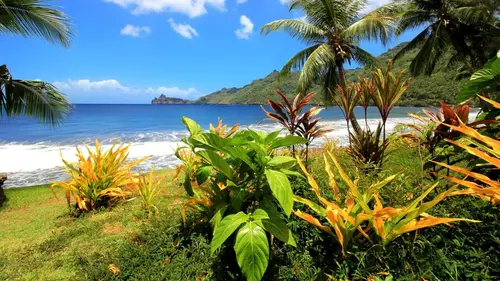 Casting Un rêve marquisien