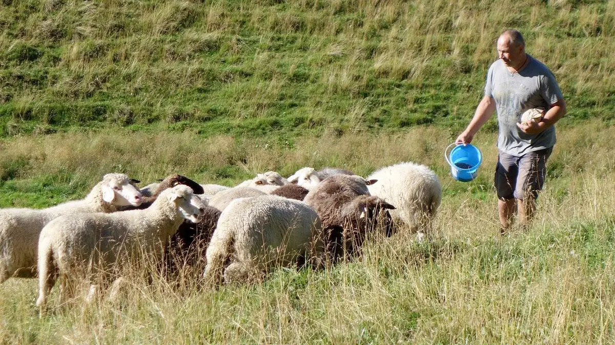 Un rêve pastoral, au coeur des Alpes bavaroises