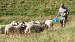 Visuel de Un rêve pastoral, au cœur des Alpes bavaroises