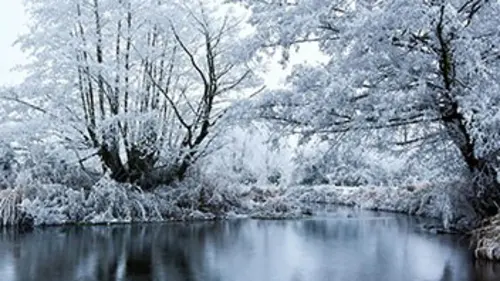 Un royaume au fil des saisons L'hiver