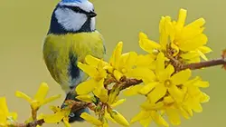 Visuel de Un royaume au fil des saisons