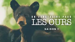 Un sanctuaire pour les ours Hibernation sous pression