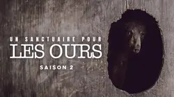 Un sanctuaire pour les ours L'intrus