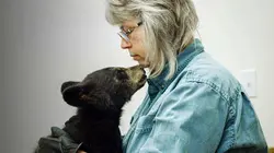 Un sanctuaire pour les ours Un ourson qui a du mordant