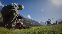 Un sanctuaire pour les ours  De retour à la maison