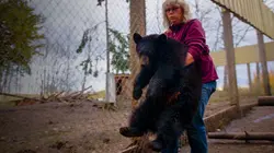 Un sanctuaire pour les ours Un ourson qui a du mordant