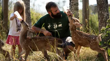 Un sanctuaire pour les ours L'intrus