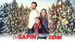 Un sapin pour deux