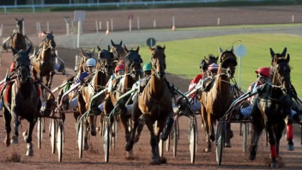 Un soir aux courses Réunion de Jagersro