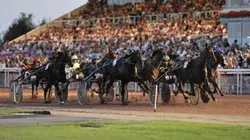 Visuel de Un soir aux courses