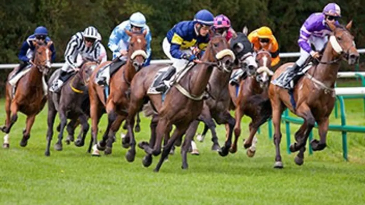 Un soir aux courses Réunion de Belmont Park