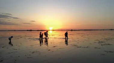 La Camargue
