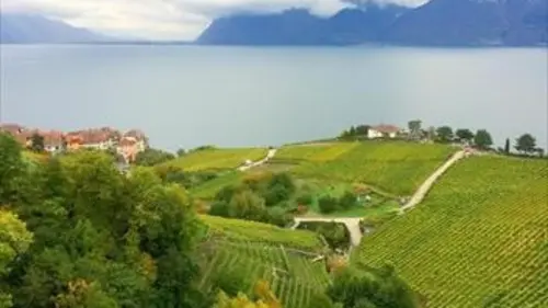 Un tsunami sur le lac Léman