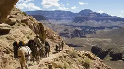 Visuel de Unbranded
