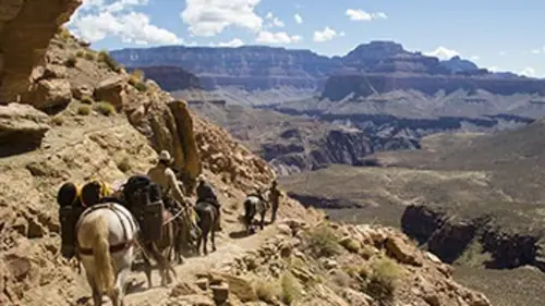 Unbranded