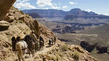 Unbranded Unbranded, l'odyssée des mustangs