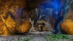 Visuel de Une ancienne mine fait peau neuve : le retour de la nature