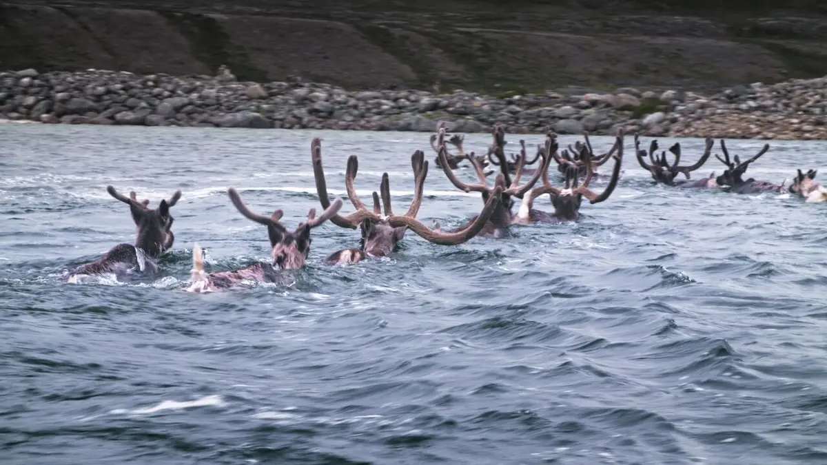 Une année sauvage autour de la Terre Septembre-octobre : l'agitation