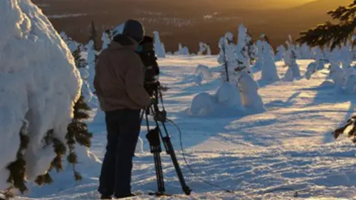 Une année sous la lumière arctique