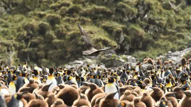 Le renouveau du printemps
