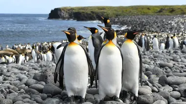 Les épreuves de l'hiver