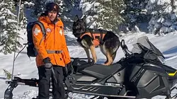 Visuel de Une avalanche d'amour