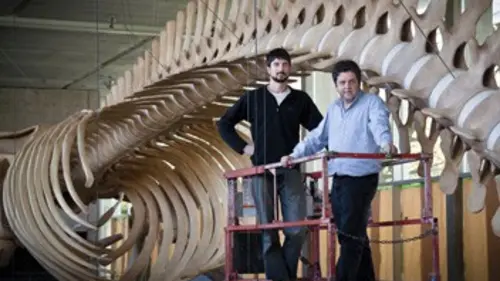Une baleine au musée